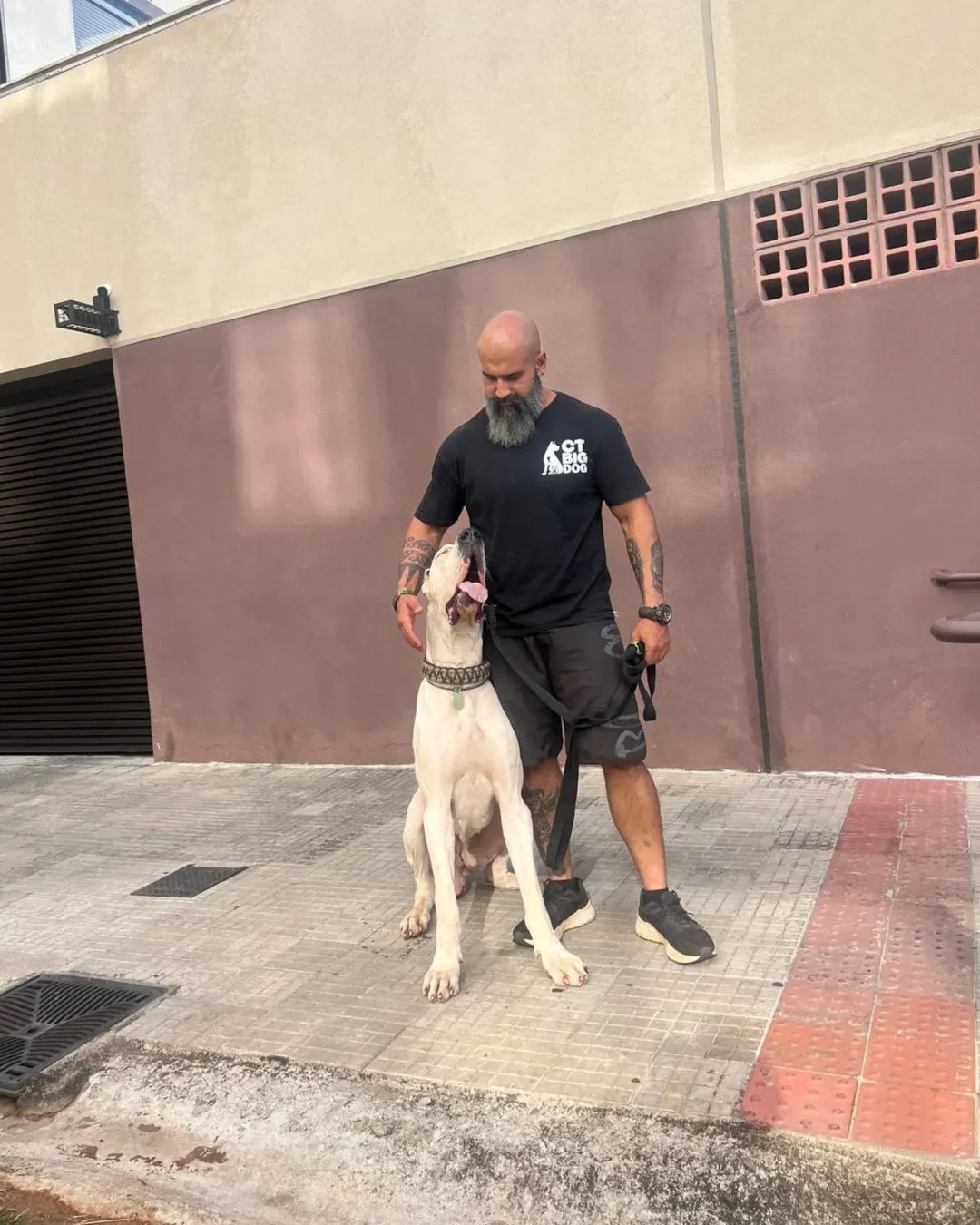 Treinador do CT Big Dog com Dogue Alemão durante sessão de adestramento